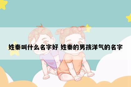 姓秦叫什么名字好 姓秦的男孩洋气的名字